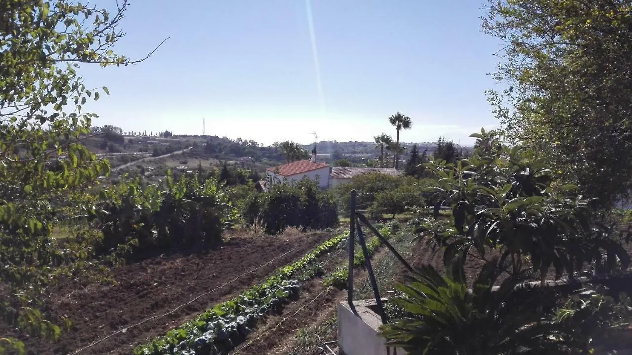 Villa Charo Estepona Spain